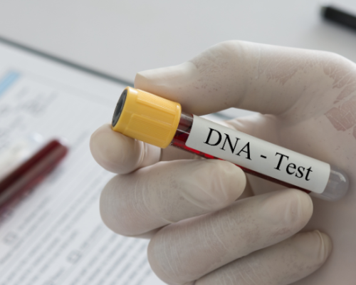 Teste-de-paternidadeDNA